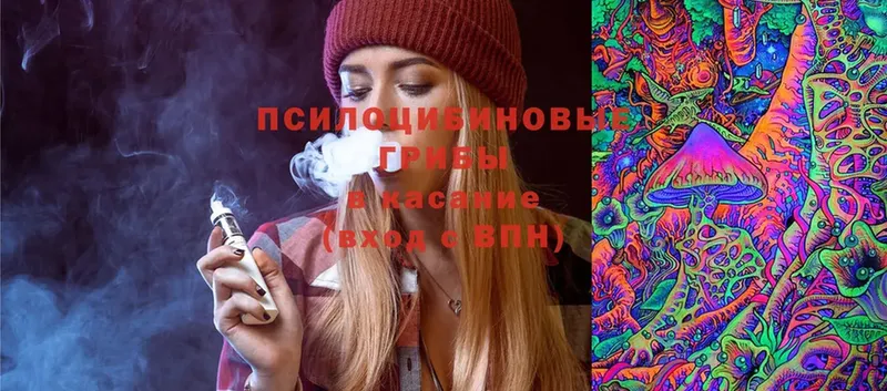 Галлюциногенные грибы Psilocybe  где найти наркотики  Рыбинск 